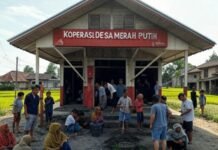 Dari Pembangunan Semesta Ke Ekonomi Kedaulatan: Menghidupkan Kembali Negara Perencana yang Konstitusional