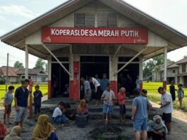 Dari Pembangunan Semesta Ke Ekonomi Kedaulatan: Menghidupkan Kembali Negara Perencana yang Konstitusional