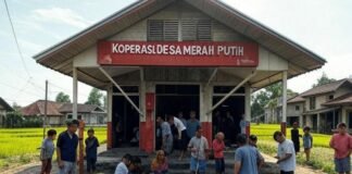 Dari Pembangunan Semesta Ke Ekonomi Kedaulatan: Menghidupkan Kembali Negara Perencana yang Konstitusional
