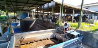 Tiga Dekade Perjuangan Koperasi Produsen Susu di Kuningan, Ekonomi Berdaya dan Inovasi Energi Surya