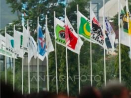 Parliamentary Threshold 5 Persen: Wajah Demokrasi Semu Indonesia*