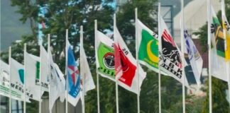 Parliamentary Threshold 5 Persen: Wajah Demokrasi Semu Indonesia*
