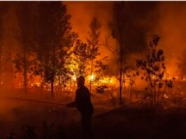 Karhutla dan Tingkat Peradaban Kita