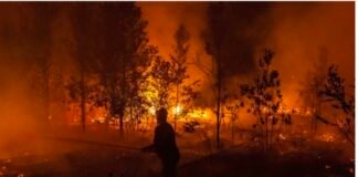 Karhutla dan Tingkat Peradaban Kita