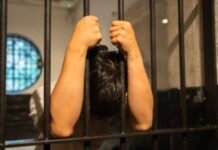 Urat Malu yang Putus: Ketika Kehormatan Lebih Mahal daripada Jabatan