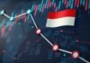 Gejolak IHSG: Peringatan Ekonomi
