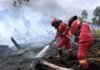 Dibalik Modal Asing dan Api Hutan Sumatera Kalimantan