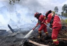 Dibalik Modal Asing dan Api Hutan Sumatera Kalimantan