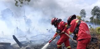 Dibalik Modal Asing dan Api Hutan Sumatera Kalimantan