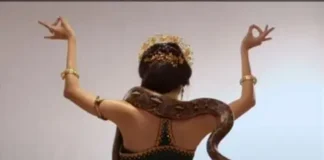 Balada Pantat Zaitun